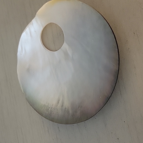 Abalone Shell - Picture 5 of 7